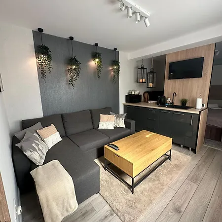 Luxury Studio Iasi Extérieur photo