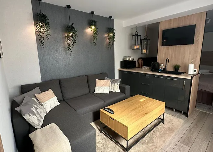 Luxury Studio