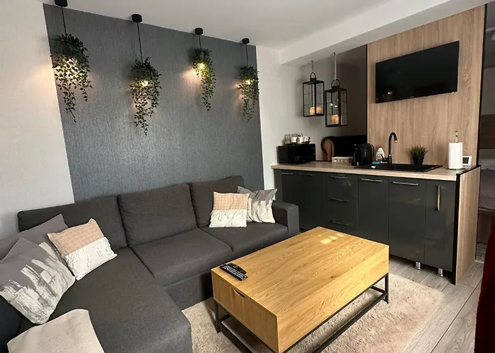 Luxury Studio